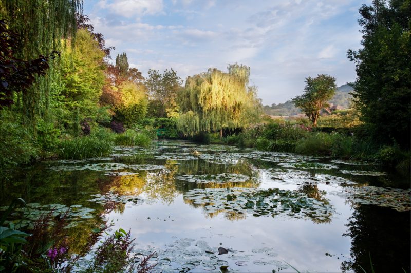 The main lake at Monet's garden, Giverny