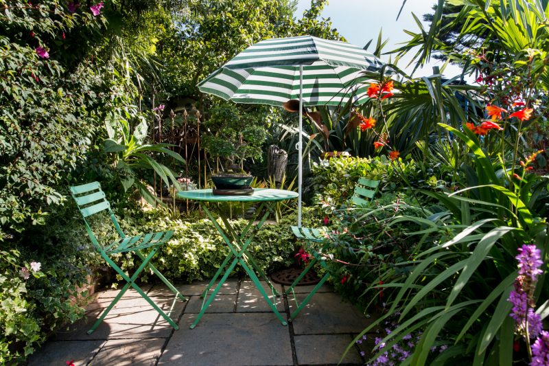 Geoff Stonebanks', small garden, Seaford, Sussex