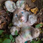 Urban Forest, Elephant and Castle. Lost toy rabbit.