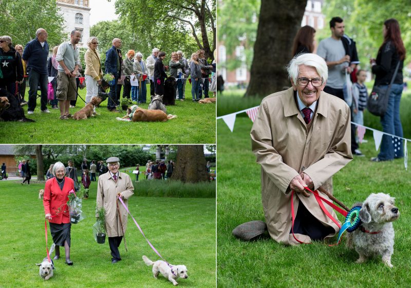 The Alternative Dog Show