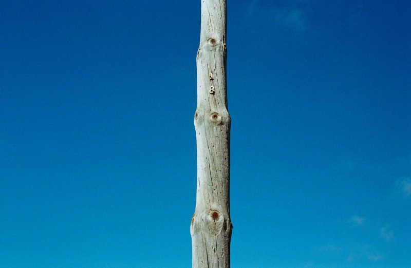 telegraph pole with the number eighteen, 18
