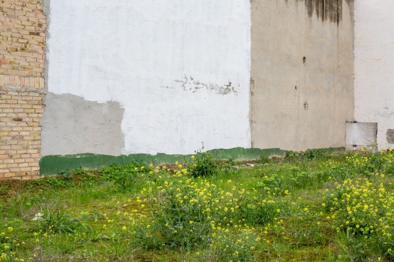 Derelict building site, Conil de la Frontera, 9.3.18 - Andalucia