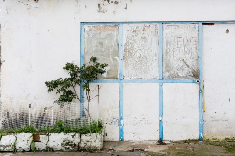 Bougainvillea in car park, 10.3.18 - El Puerto de Santa Maria, Andalucia
