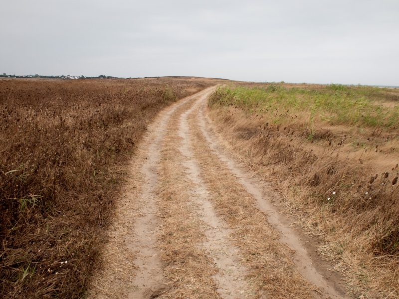 Track near El Palmar, 12.8.11
