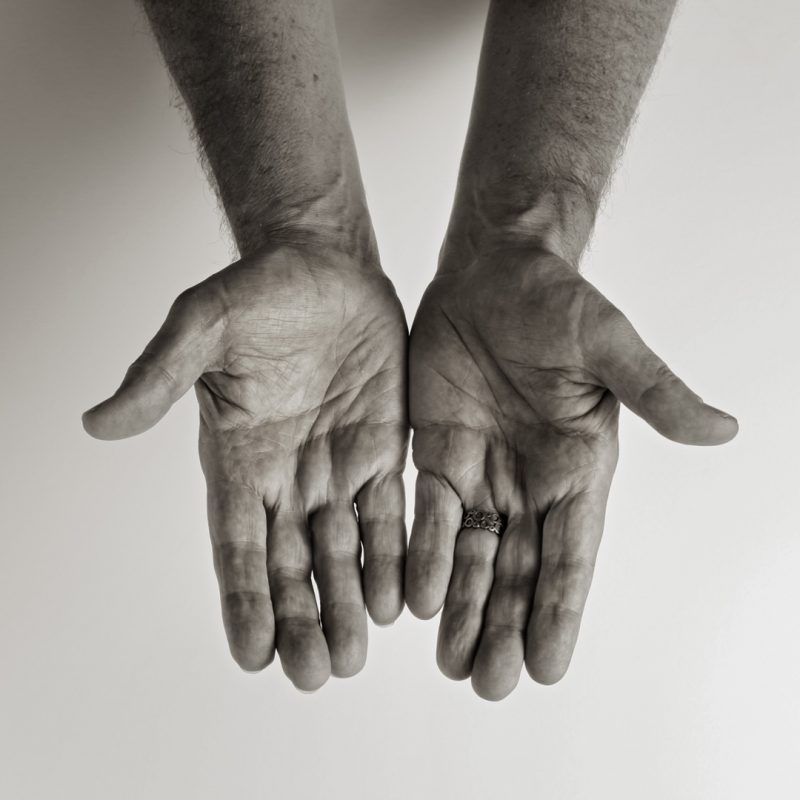 Professor Stephen Hopper