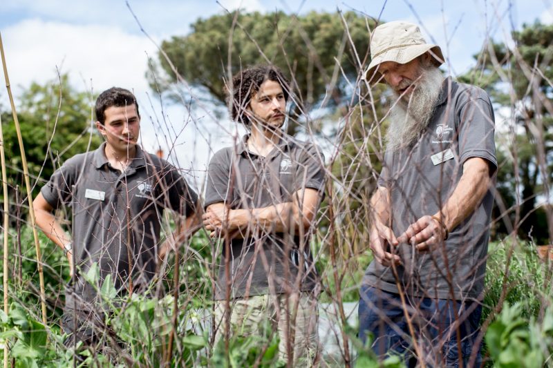 RHS students training programme at Wisley