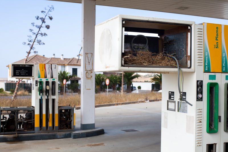 Bird's nest in petrol pump - derelict petrol station, Conil, 23.8.12