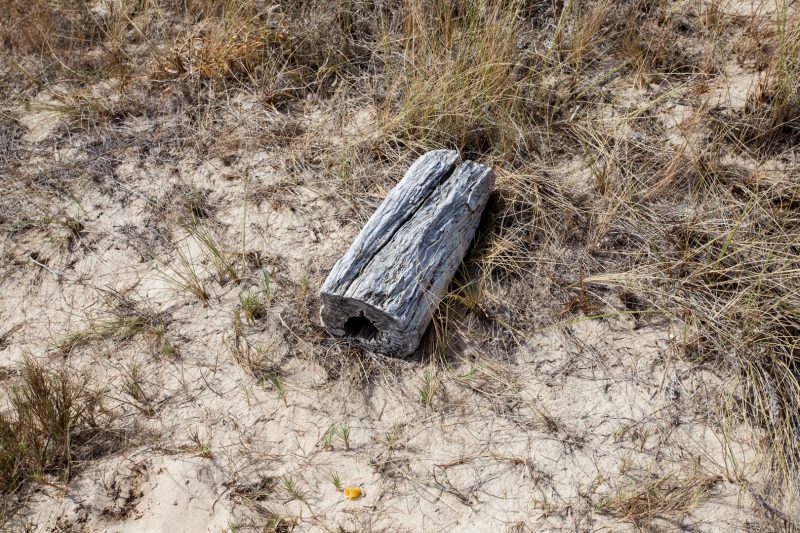 Track near El Palmar, 18.8.10