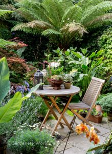 Juan Carlos, small garden, Highbury