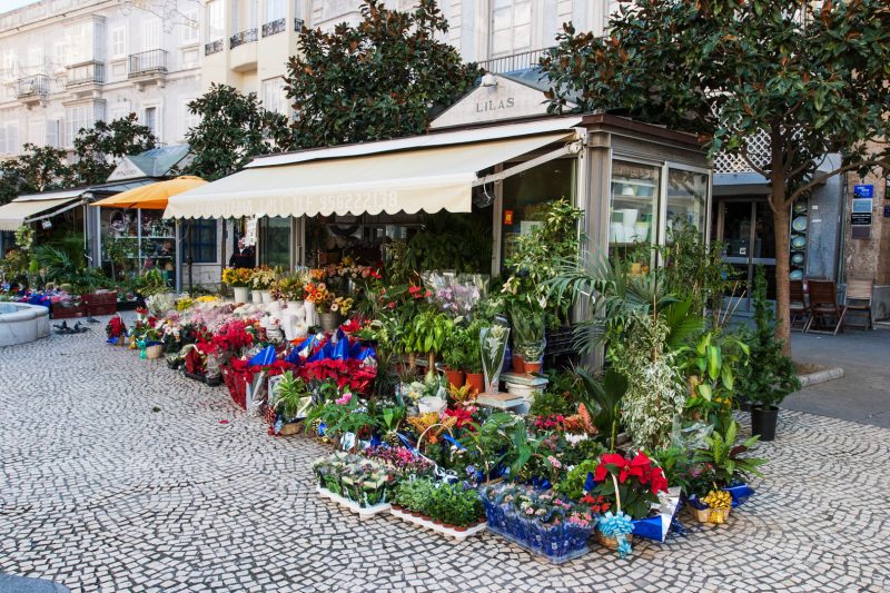 Flower Market, Cádiz, 29.12.04