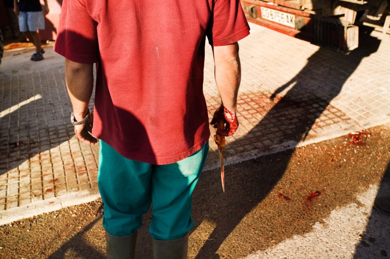 Outside a bullfight in Tarifa, Spain, 12.8.05