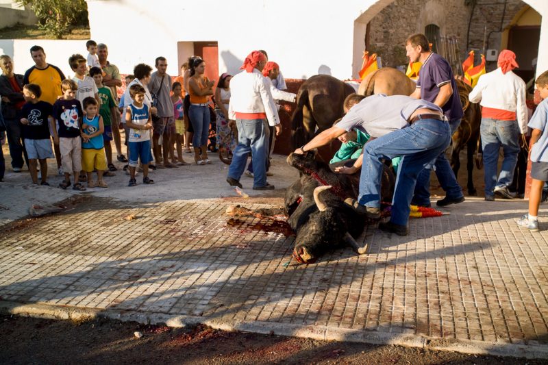 Outside a bullfight in Tarifa, Spain, 12.8.05