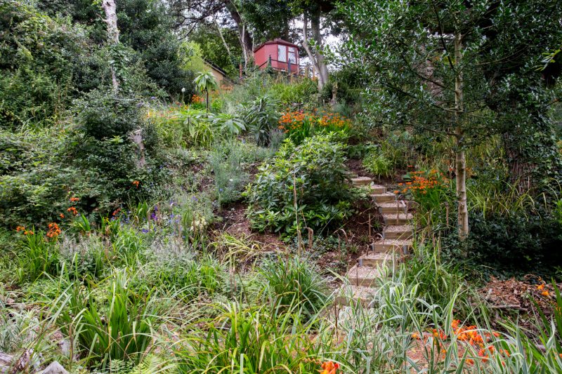 Pam Woodall's wildlife garden - Gardens of the Year