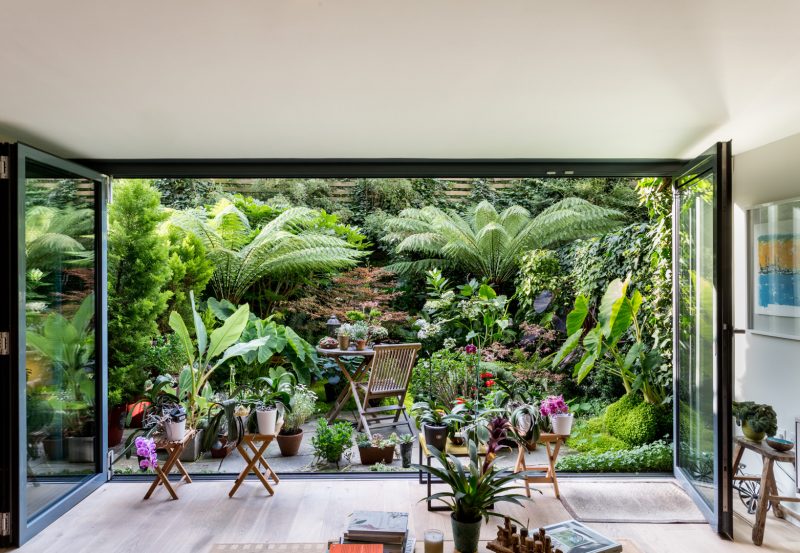 London patio garden, Islington