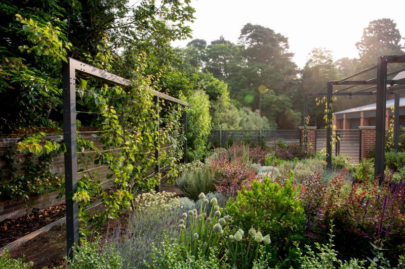 Heatherbrae by Tom Hoblyn