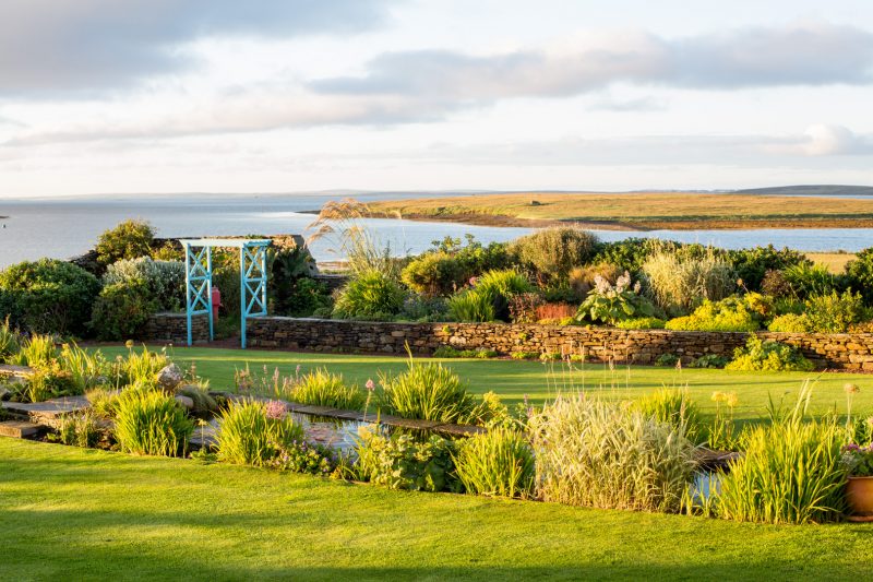 Gardens of the Year - Difficult garden category by Caroline Critchlow