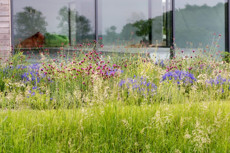 The Manor House by Tom Hoblyn