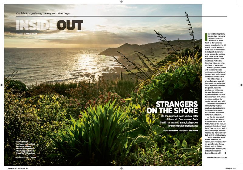 Beth Smith's garden, Foamlea in Devon