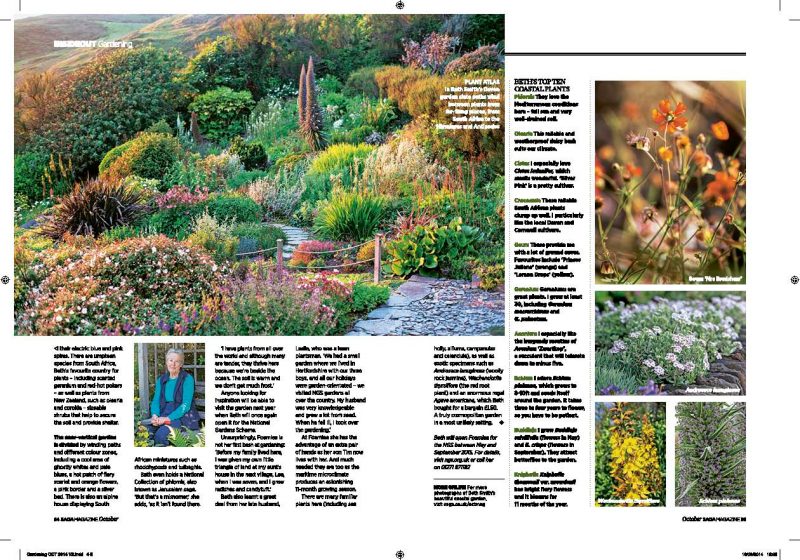 Beth Smith's garden, Foamlea in Devon