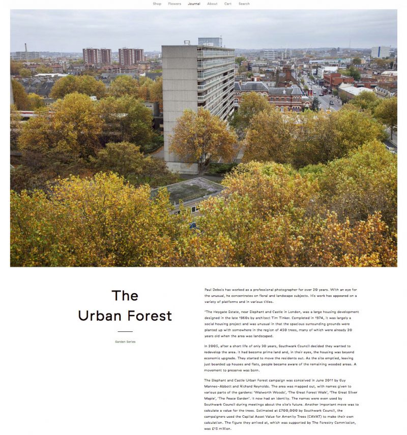 The Urban Forest