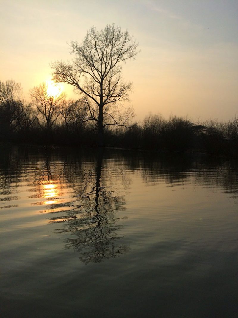 The Thames near Syon Reach