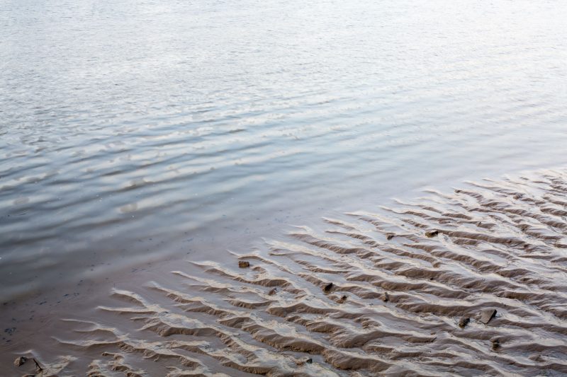 River Thames at Mortlake, 10.5.17