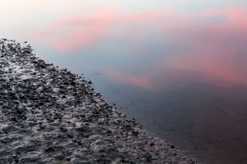 River Thames at Mortlake, 10.5.17