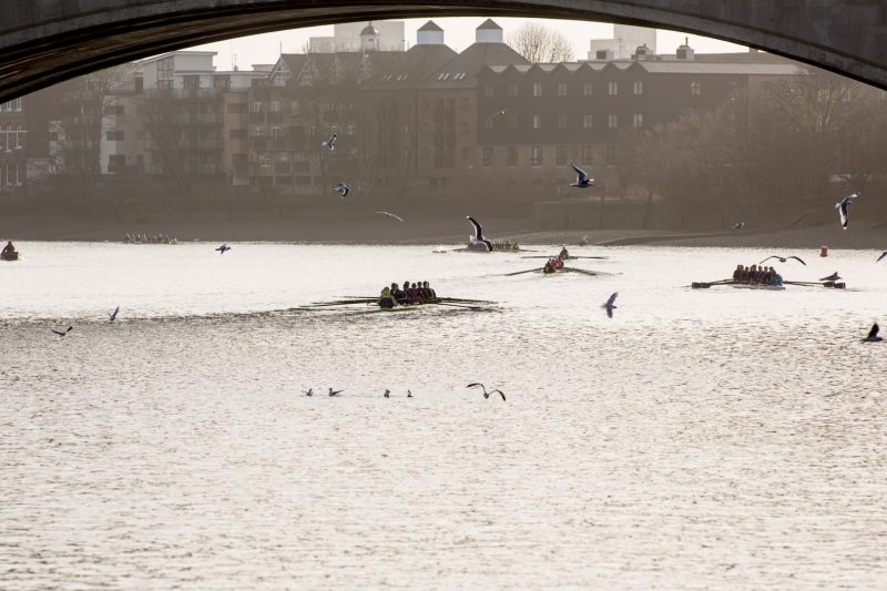 Masters Ladies at Putney Town Rowing Club