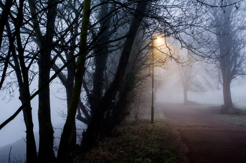 River Thames, near Putney Town Rowing Club, next to Chiswick Bridge