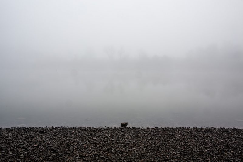 River Thames, near Putney Town Rowing Club, next to Chiswick Bridge