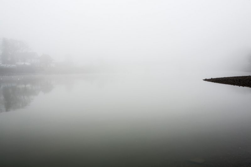River Thames, near Putney Town Rowing Club, next to Chiswick Bridge