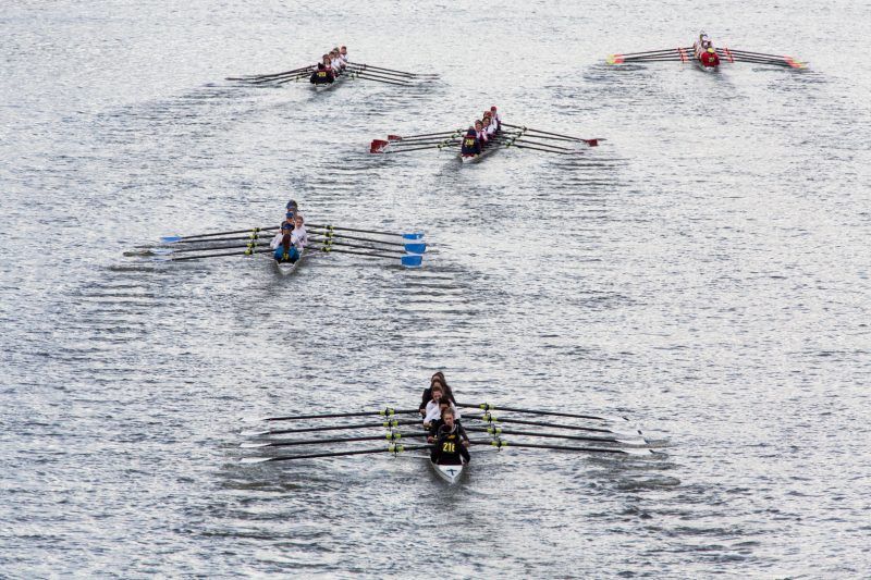 Quintin Head Race 2017, viewed from Chiswick Bridge