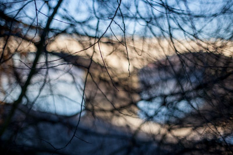 Chiswick Bridge, 29.12.16