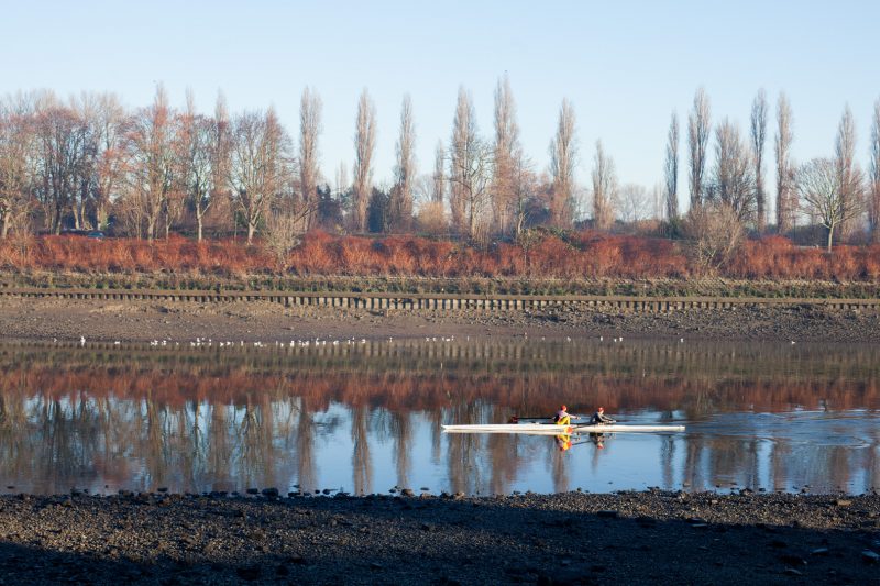 River Thames, Mortlake
