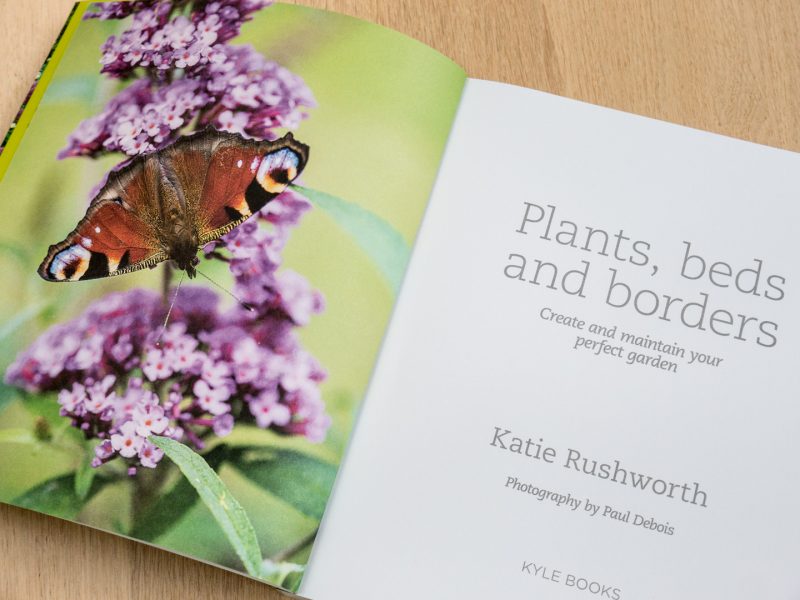 'Plants, beds and borders' by Katie Rushworth