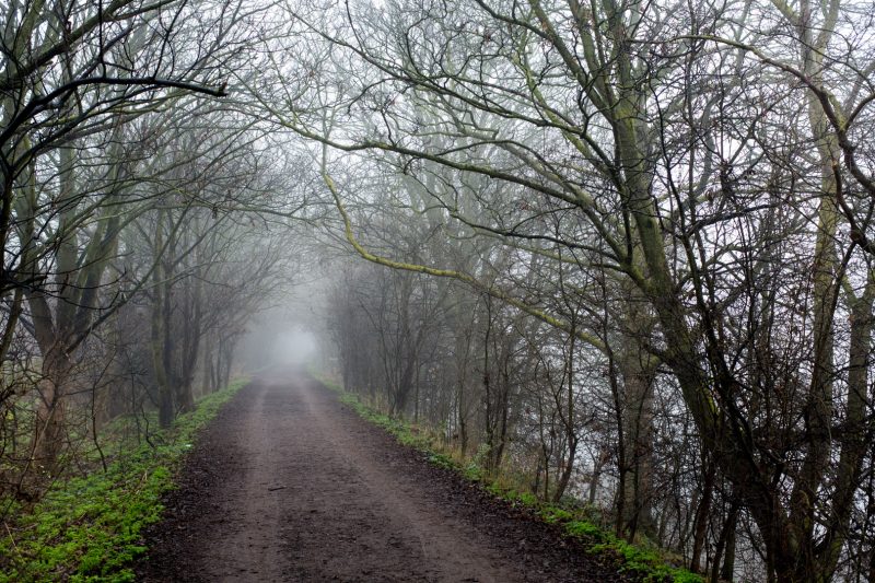River Thames Tow Path near Chiswick Bridge, 30.12.16