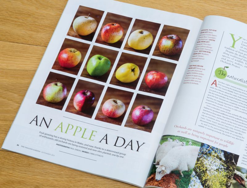 Historic Orchards, Monmouthshire