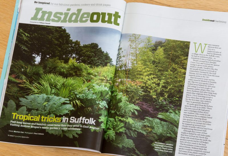 Andrew Brogan's Exotic Garden, Henstead