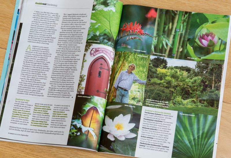 Andrew Brogan's Exotic Garden, Henstead