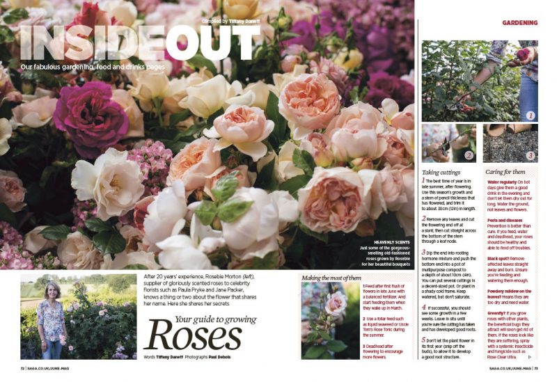 Rosebee Morton's Flower farm