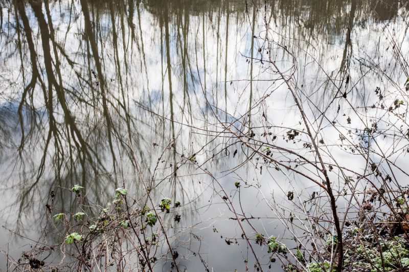 River Brent as it passes under The Uxbridge Road near the Viaduct Pub, 5.1.10