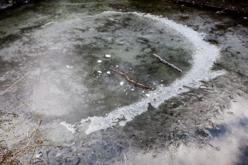 Frozen water, The Brent near Brentford - 5.1.10