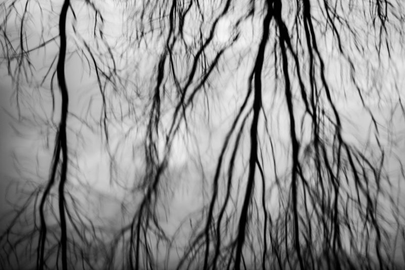 Frozen water near Brentford, 5.1.10