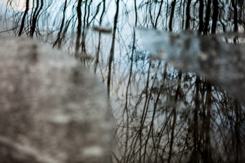 Frozen water near Brentford, 5.1.10
