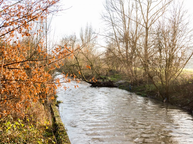 River Brent passing through Brent Meadows next to Wharncliffe Viaduct, Hanwell