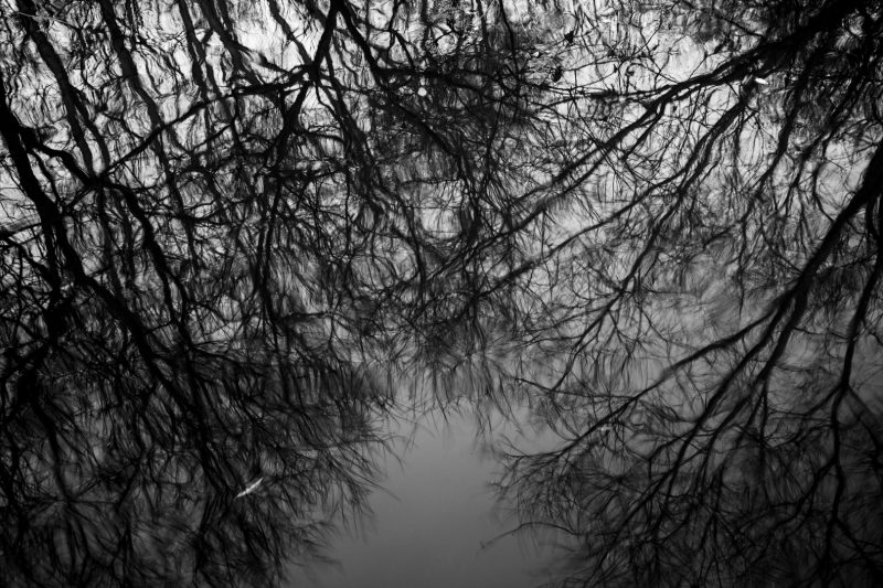 Reflections in River Brent near Brentford, 27.9.09