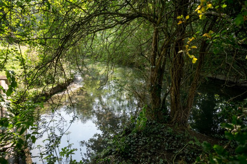 Confluence of Dollis Brook (right) and Mutton Brook (left) forming River Brent - Dollis Valley Greenwalk, near Brent Cross Shopping Centre